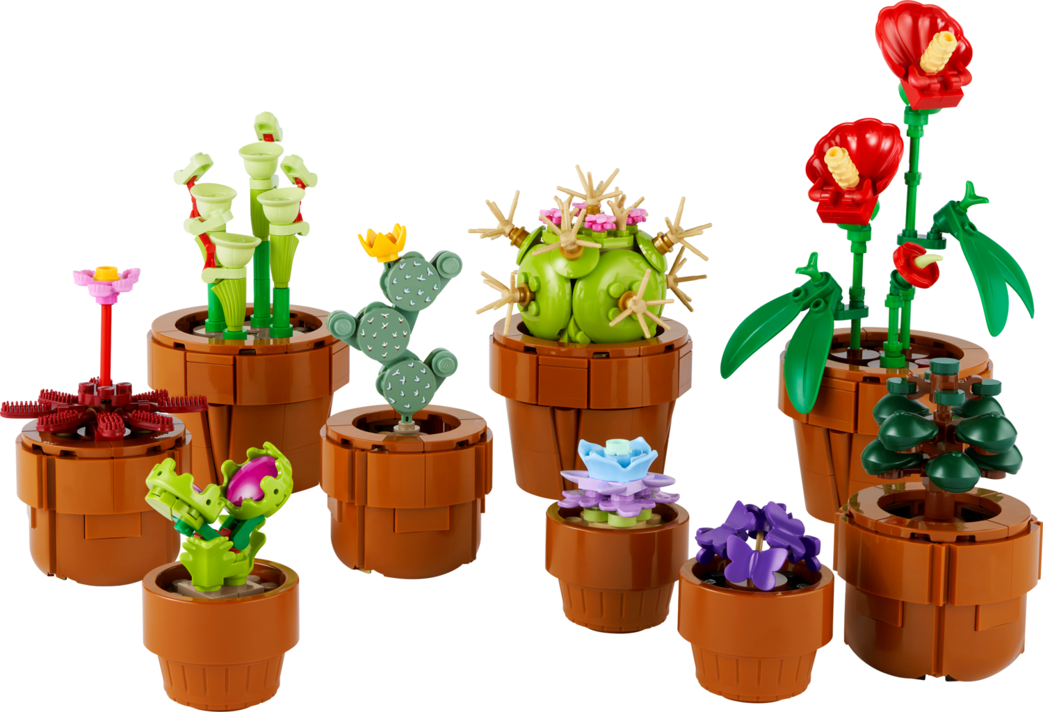 10329 / Les plantes miniatures