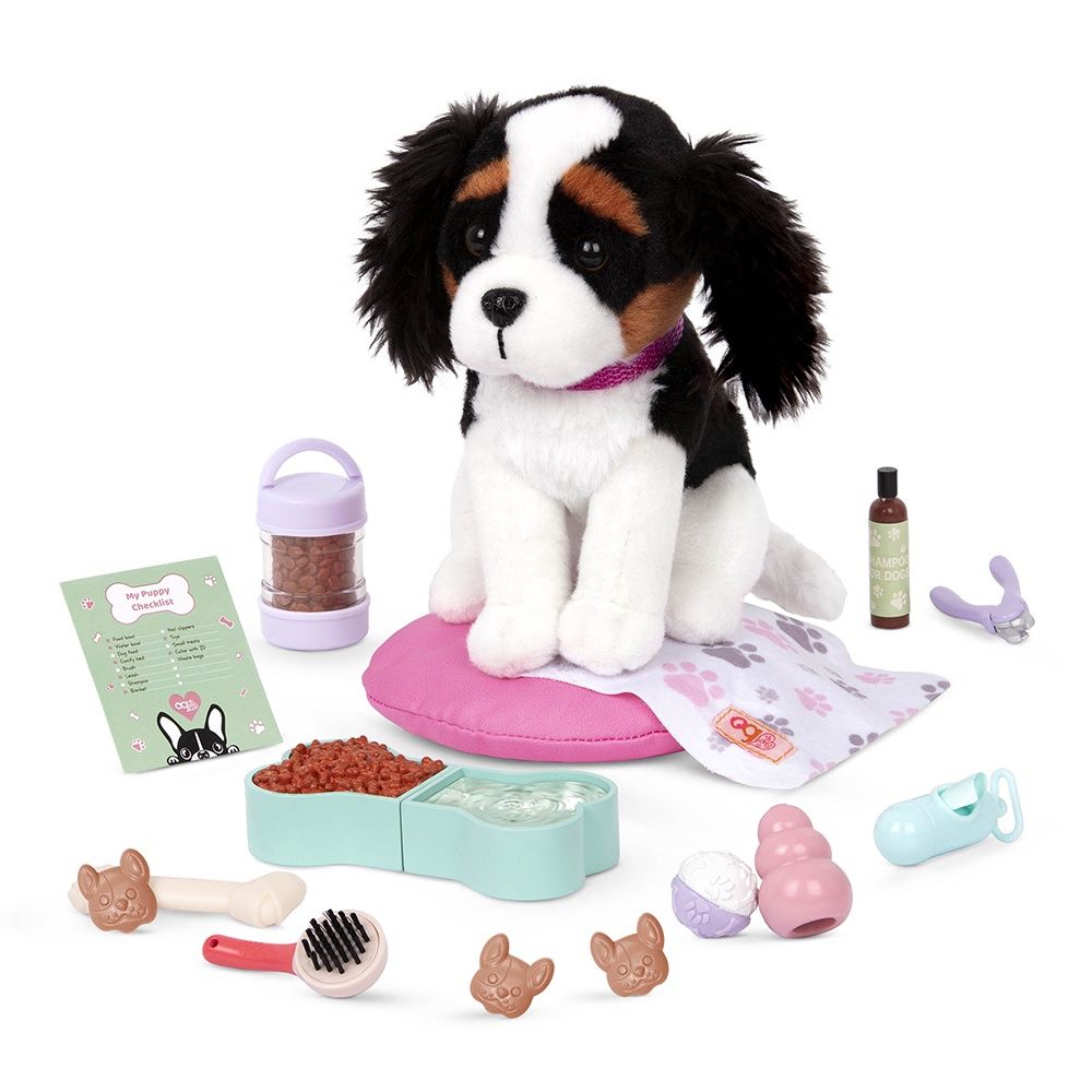 Accessoires OG / Paw Paradise