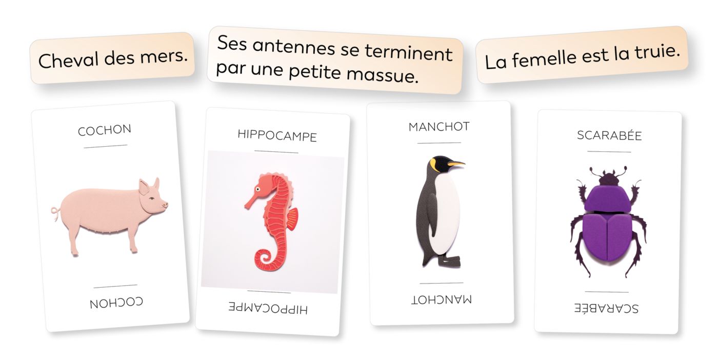 Linkto Animaux (Fr)