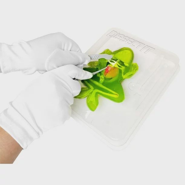 Dissect It - Grenouille au labo