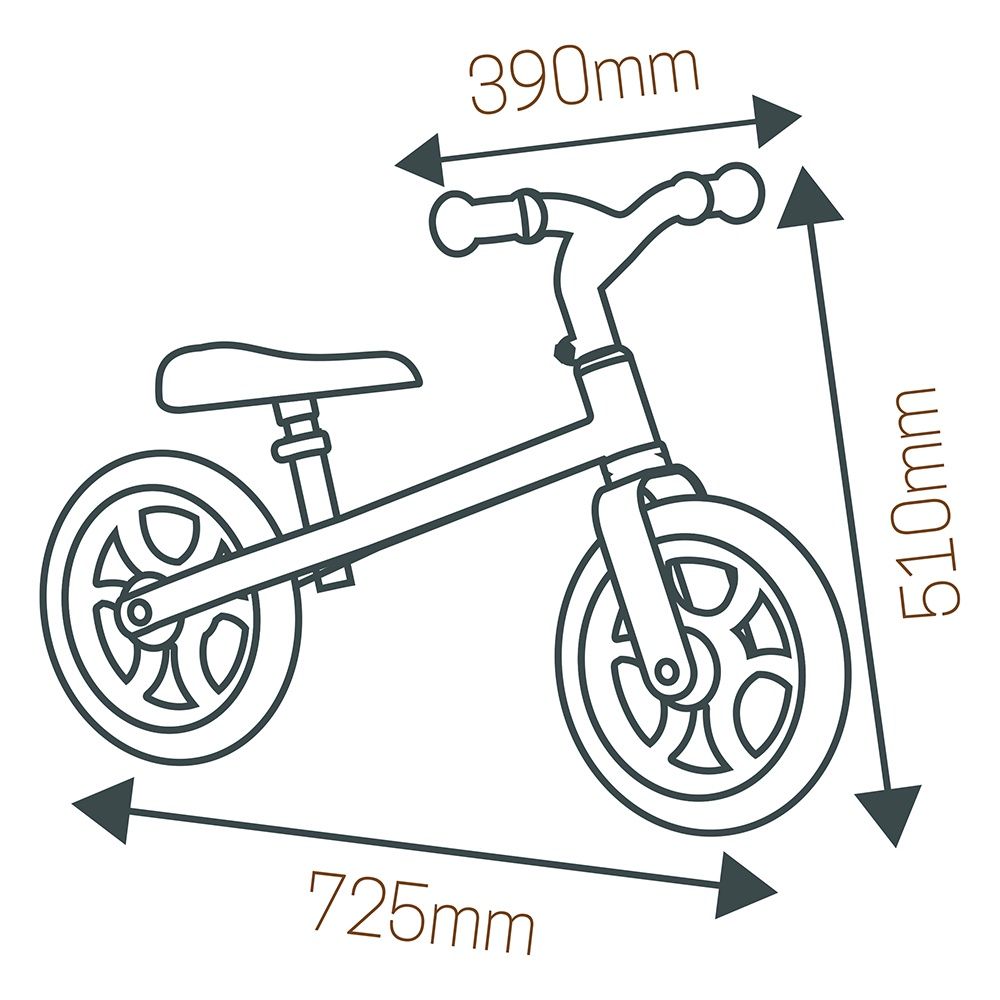Draisienne Balance First Bike