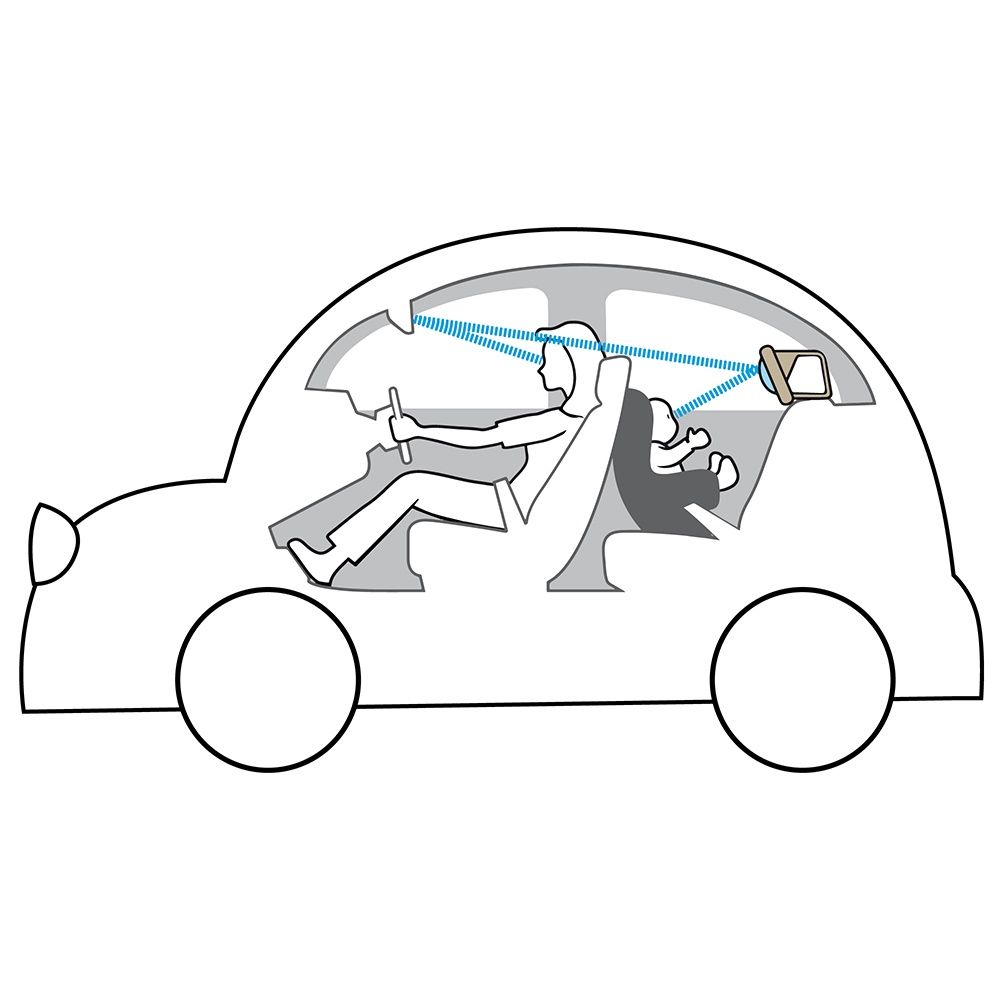 Miroir de voiture Koala