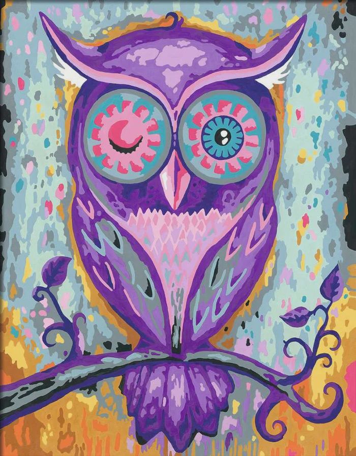 CREART - Peinture à numéros / Chouette endormie (24x30 cm)