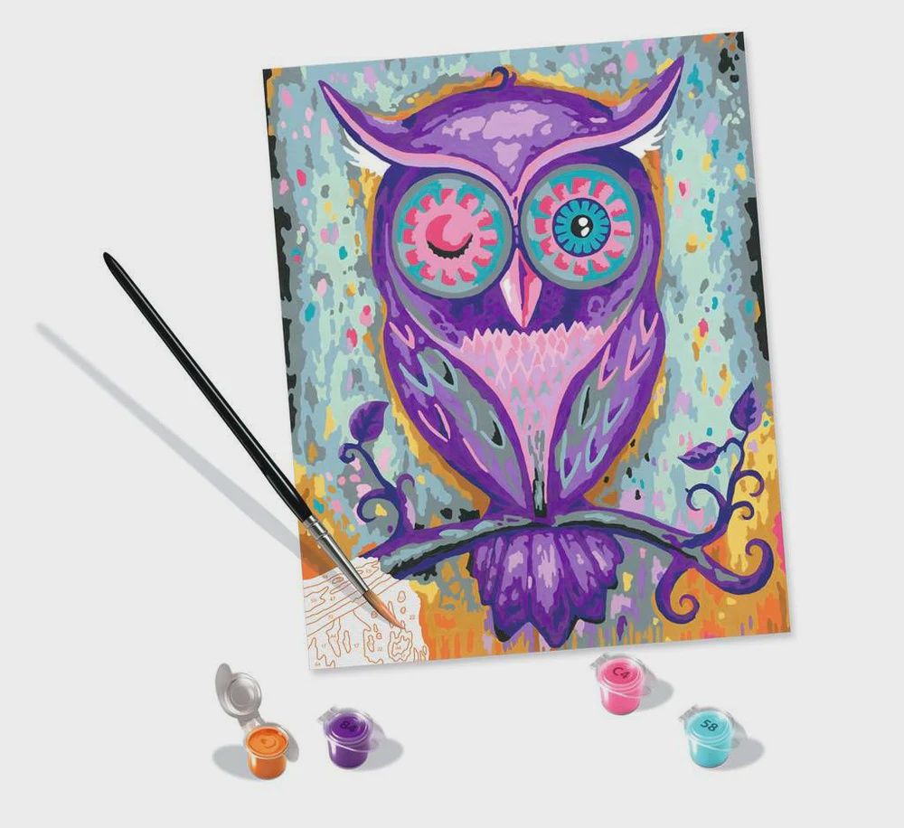 CREART - Peinture à numéros / Chouette endormie (24x30 cm)