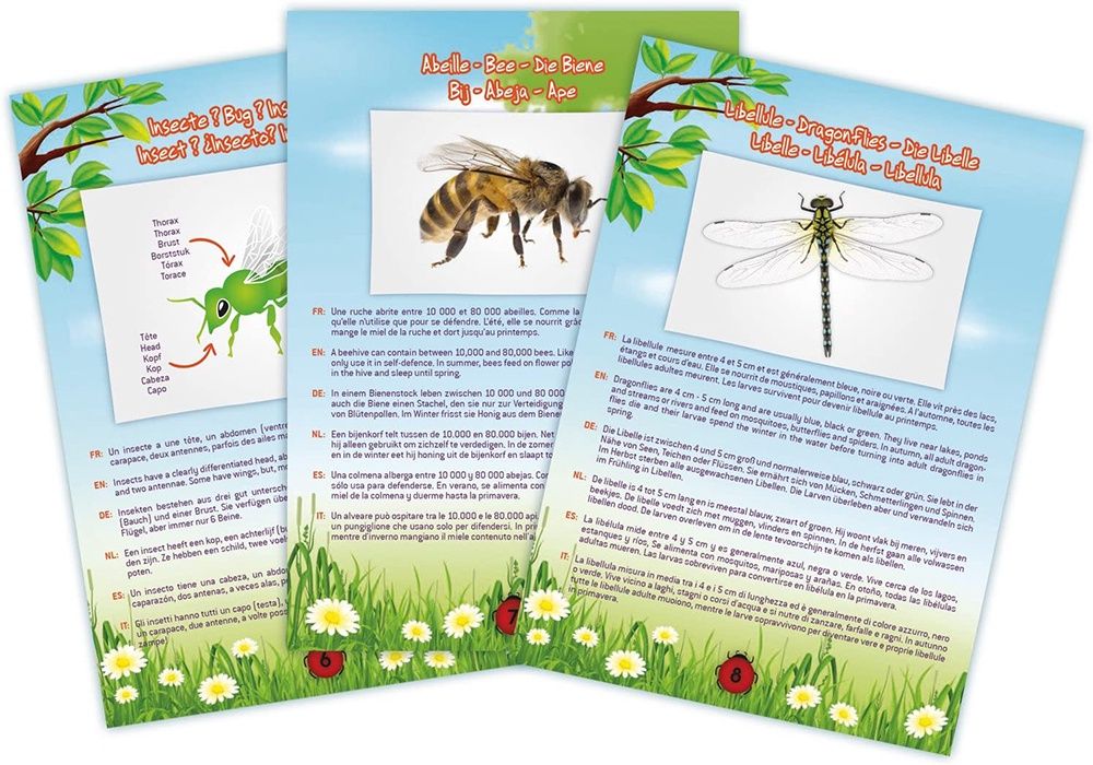 Aspirateur d&#39;insectes