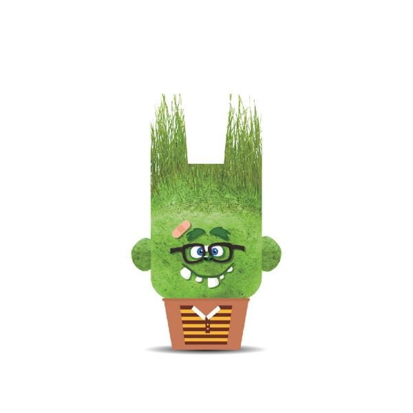 Plant pals monsters