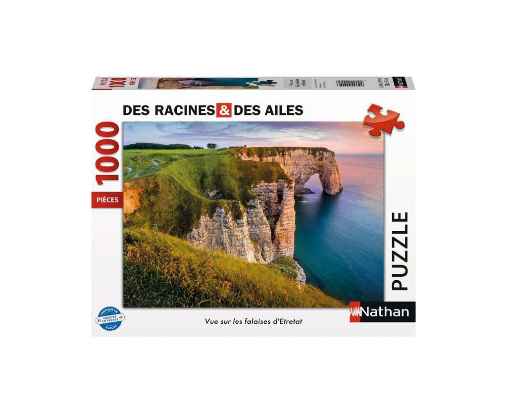 Vue sur les falaises d&#39;Etretat