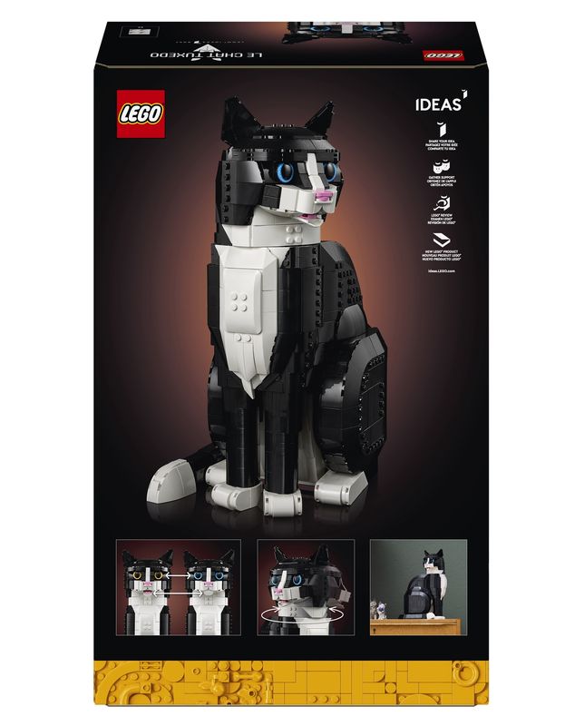 21349 / Le chat bicolore