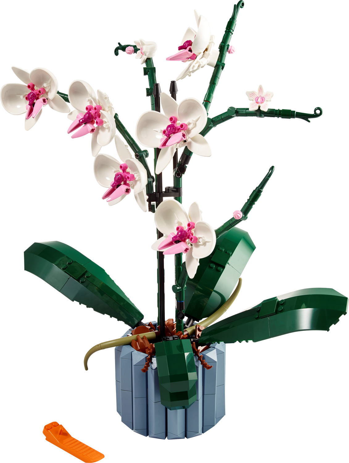 10311 / L&#39;orchidée