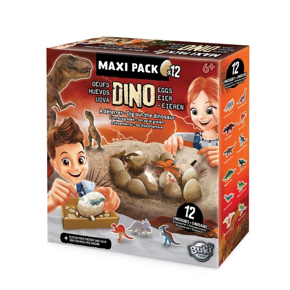 Buki France Découverte - Maxi Pack Oeuf Dino (1223