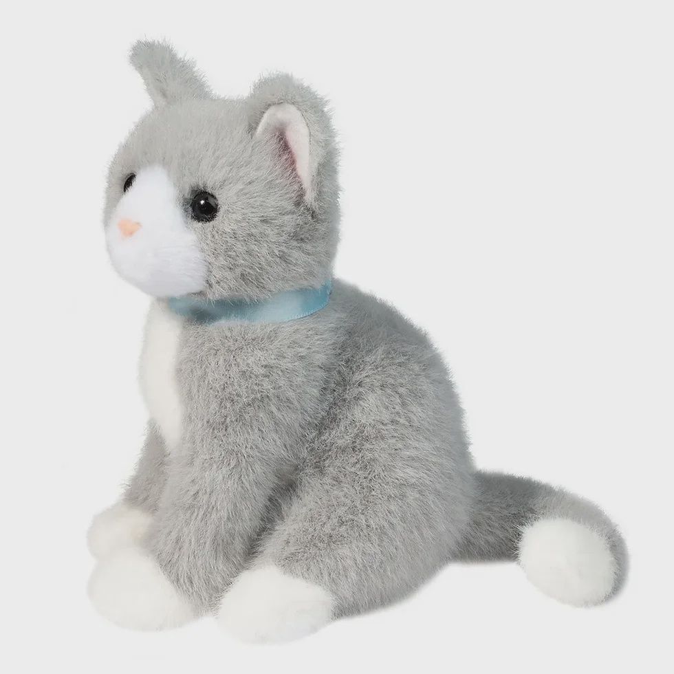 Mini chat gris