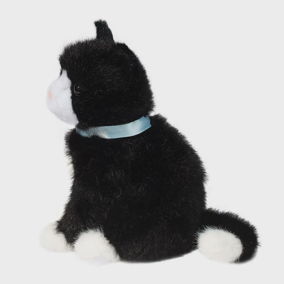 Mini chat noir et blanc