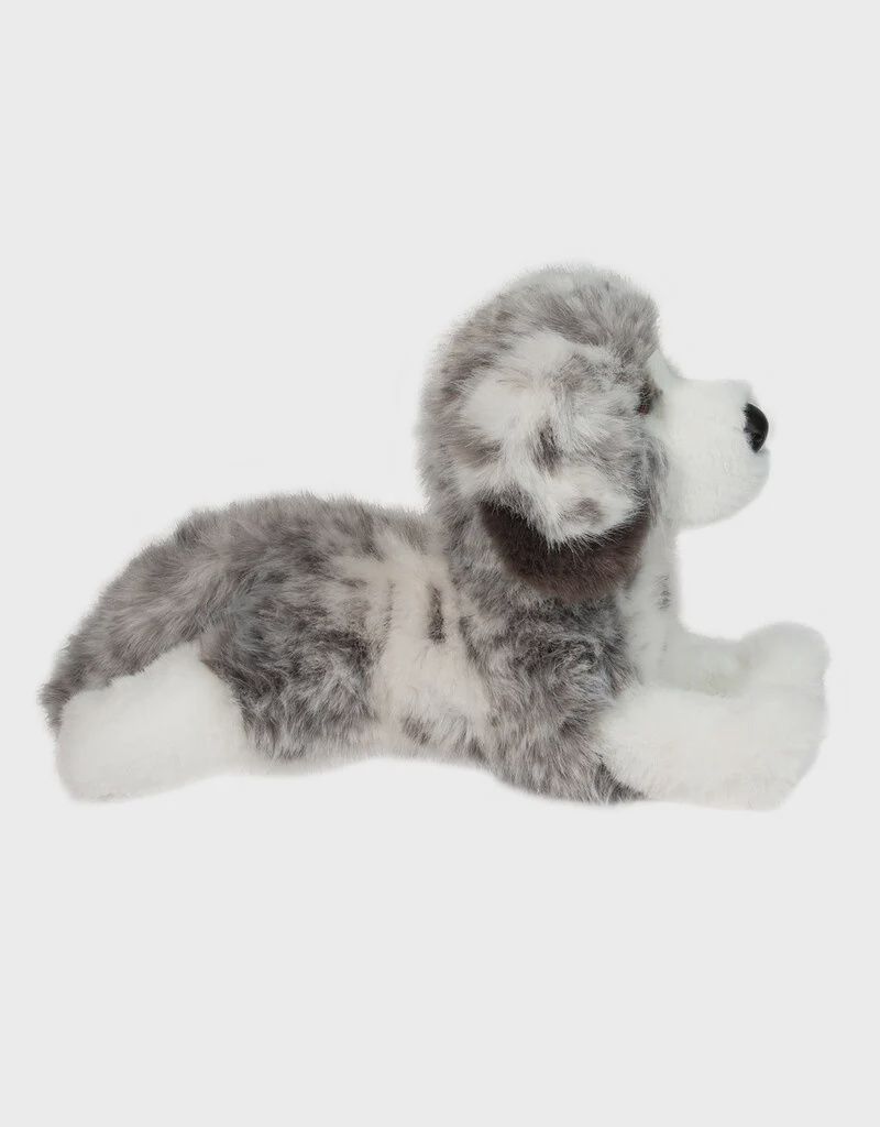 Berger Australien Skylar / Skylar Australian Shepherd