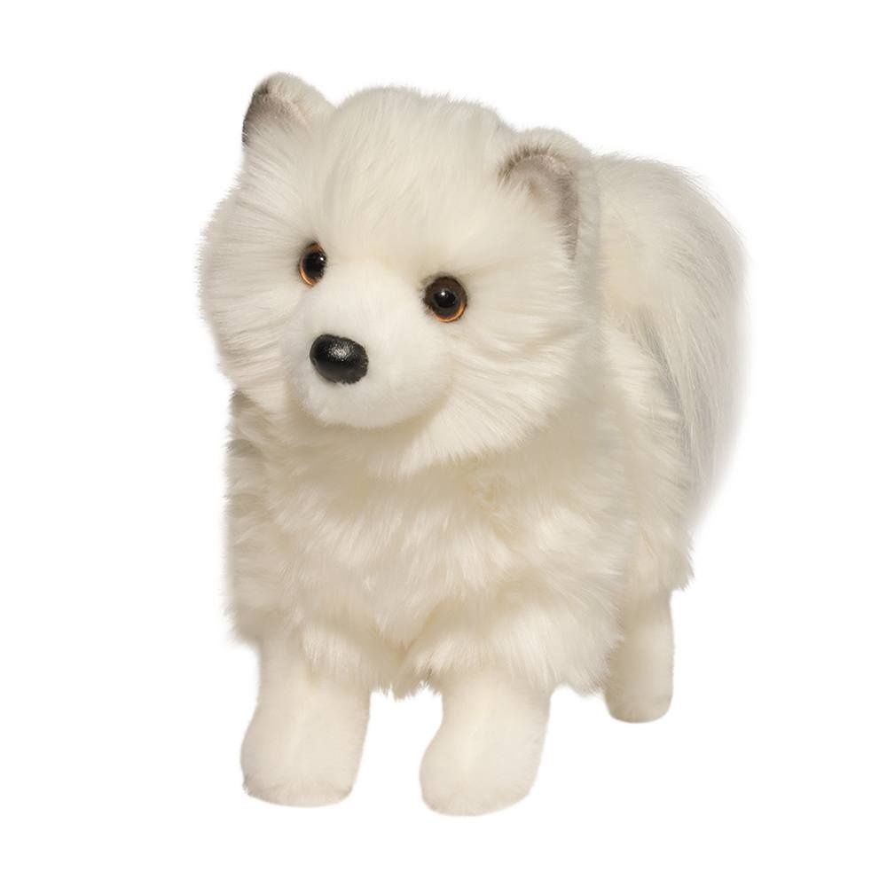 Chien blanc Pomsky / Phoebe Pomsky