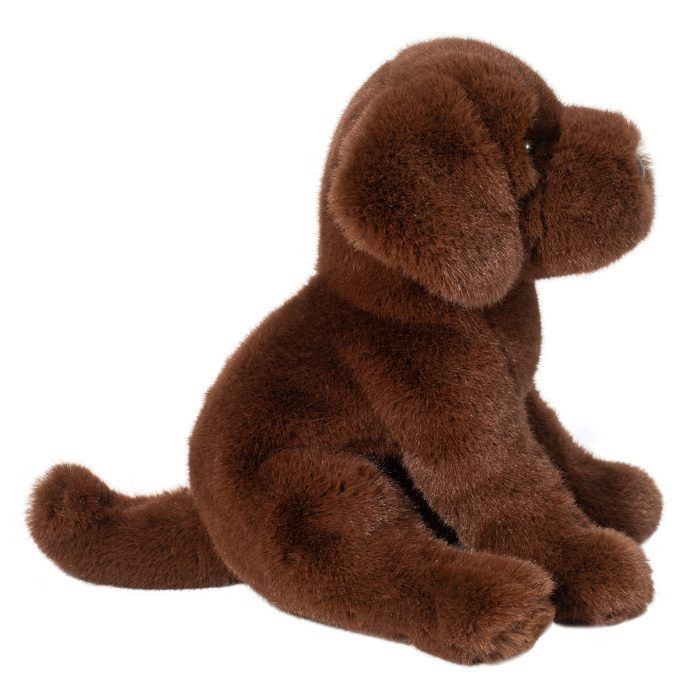 Zoom Chocolate Lab / Petit chiot brun