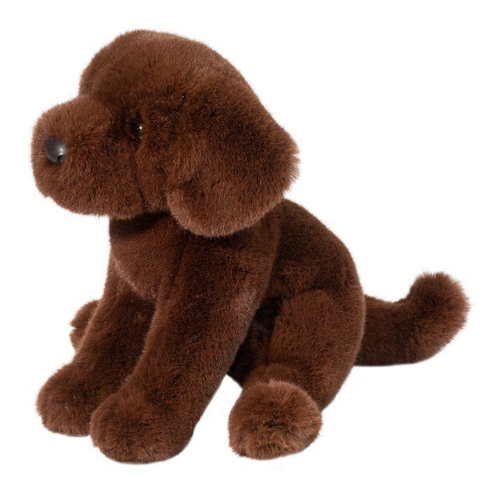 Zoom Chocolate Lab / Petit chiot brun