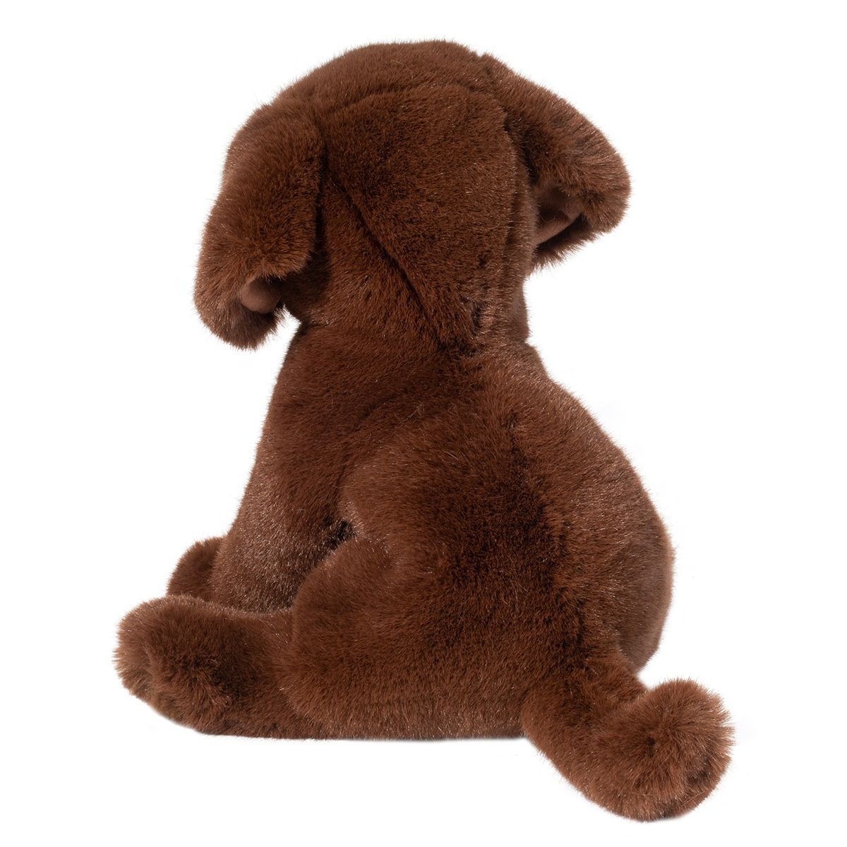 Zoom Chocolate Lab / Petit chiot brun