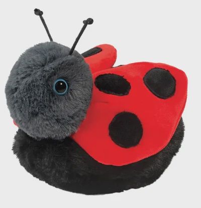 Bert la coccinelle
