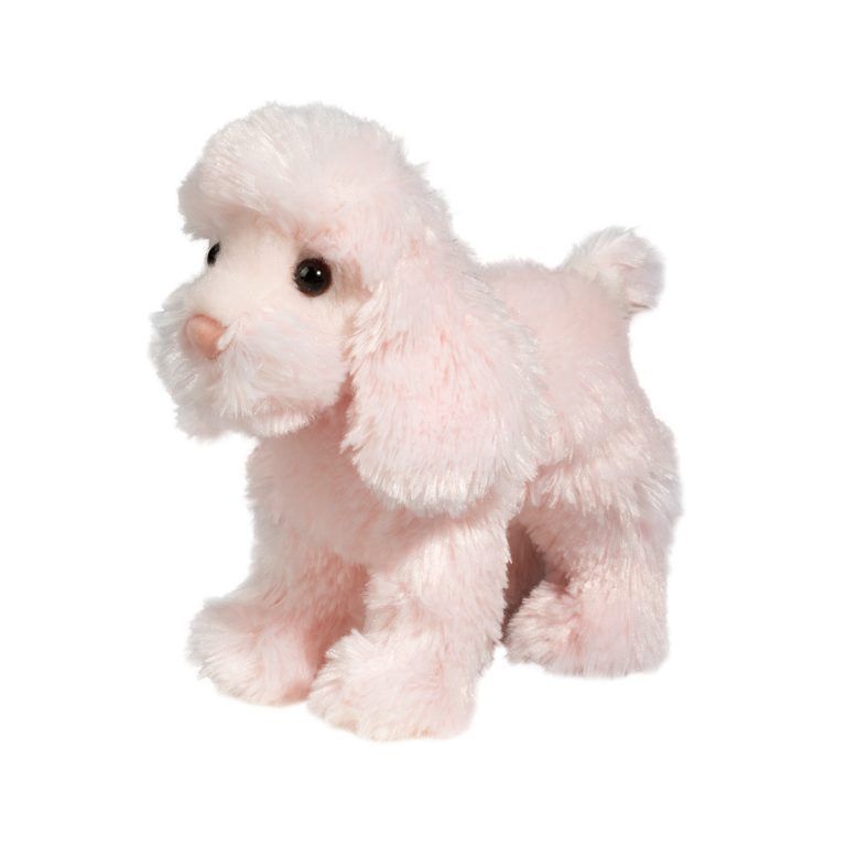 Caniche rose Cambri