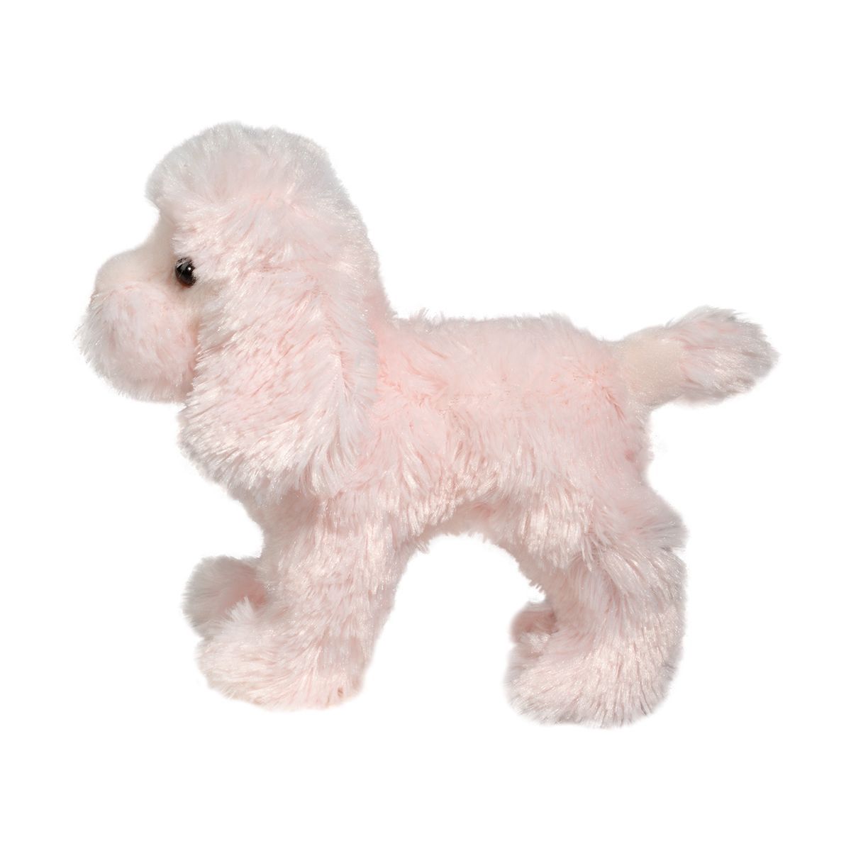 Caniche rose Cambri