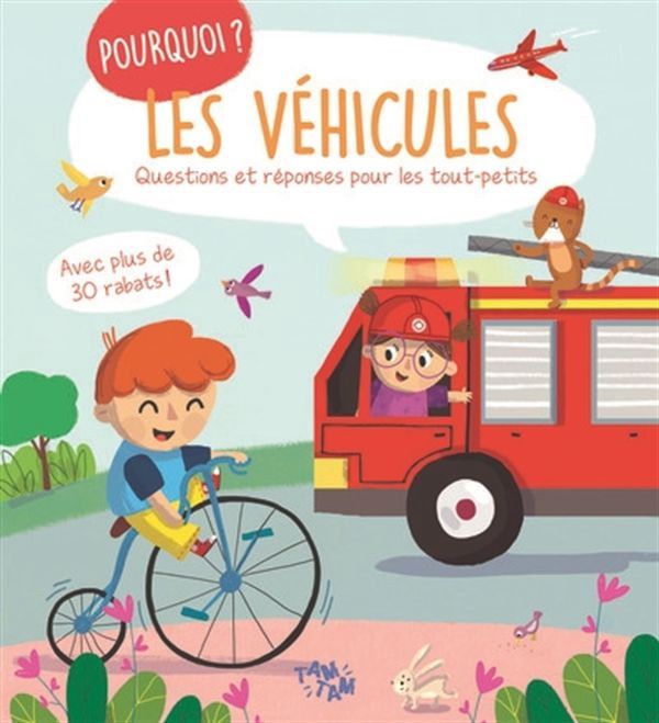 Pourquoi ? Les Véhicules