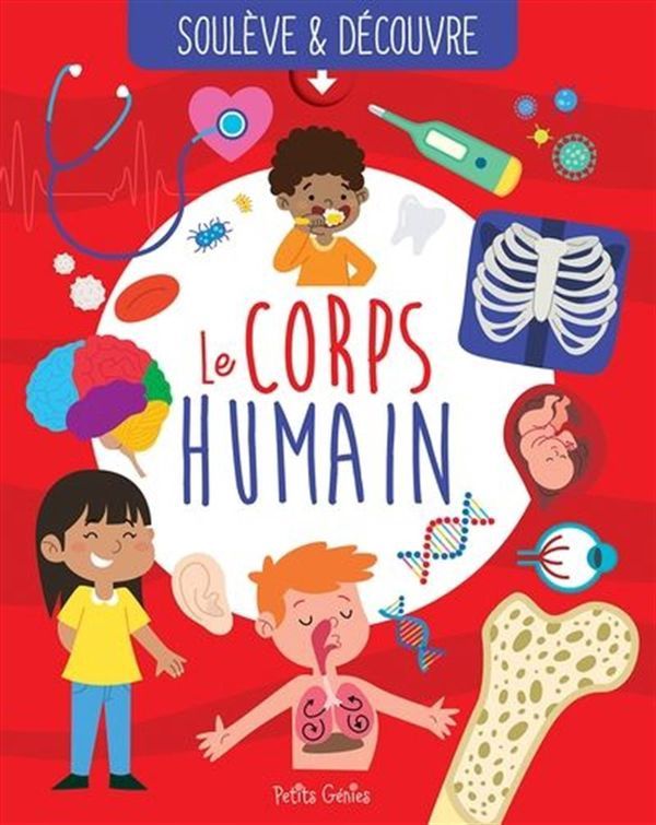 Soulève et découvre / Le corps humain