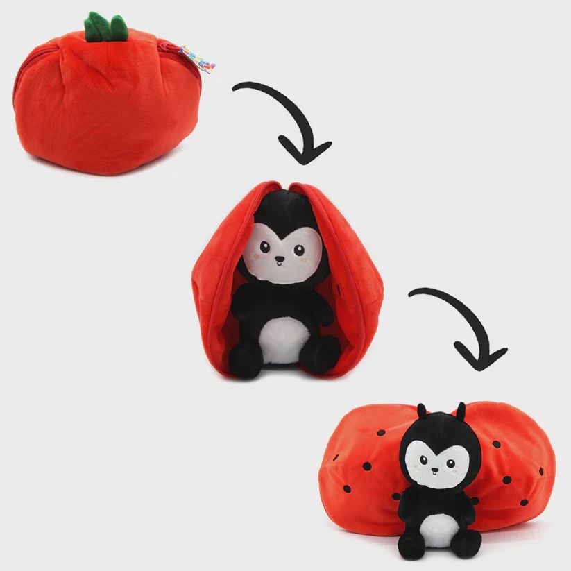 Flipetz / Comet la tomate-coccinelle