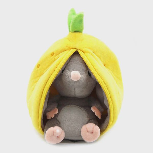 Flipetz / Rocket le citron-souris