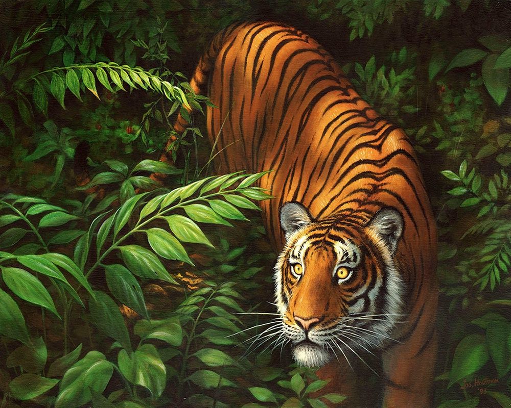 Peinture à numéros / Tigre dans les fougères (cadre)