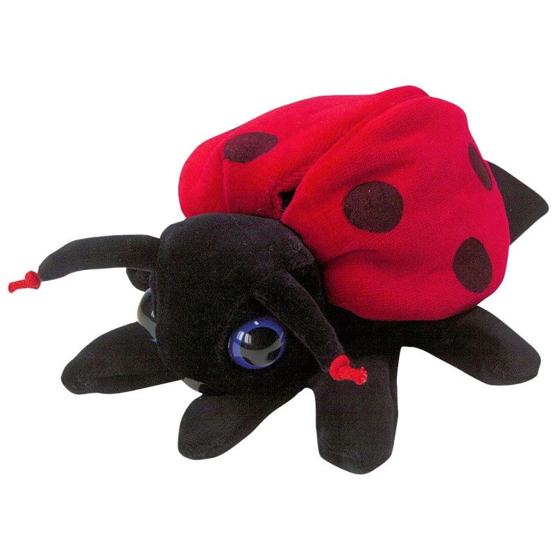 Marionnette / Coccinelle