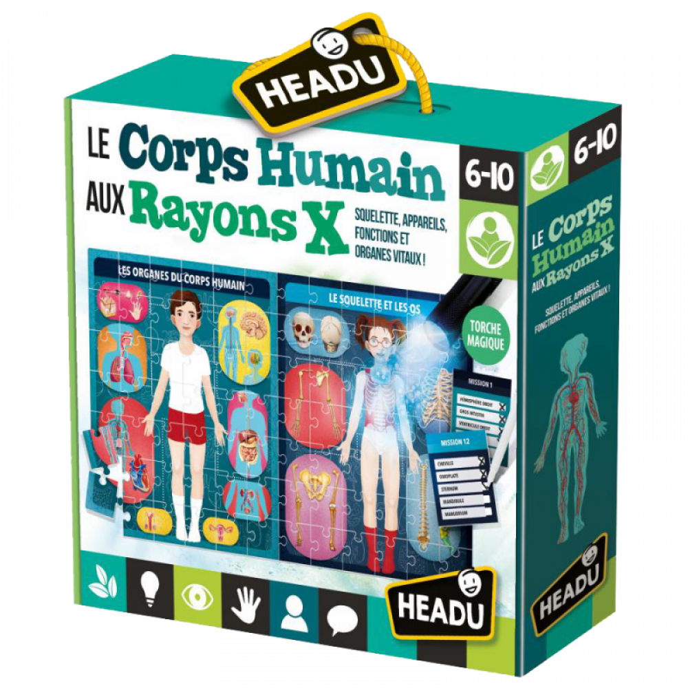 Le Corps Humain aux Rayons X