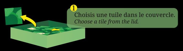 Facteur souris - Le pique-nique (Fr/En)