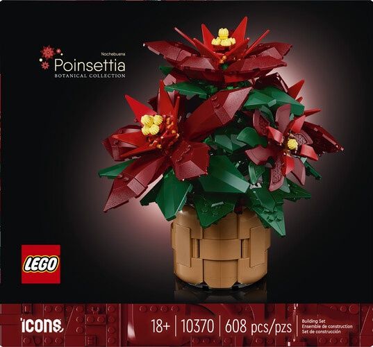 10370 / L’ étoile de Noël