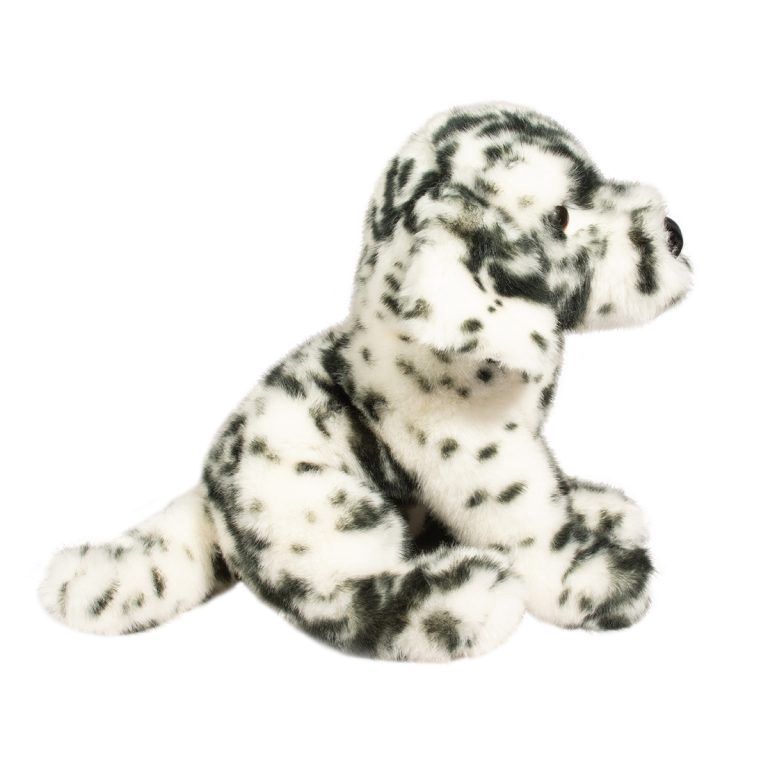 Dalmatien Mackay