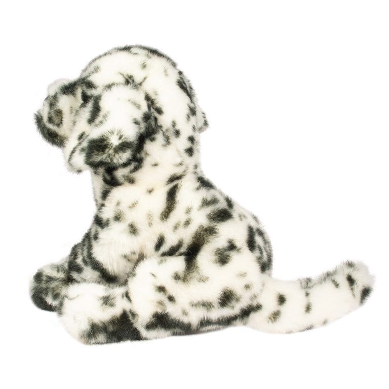 Dalmatien Mackay
