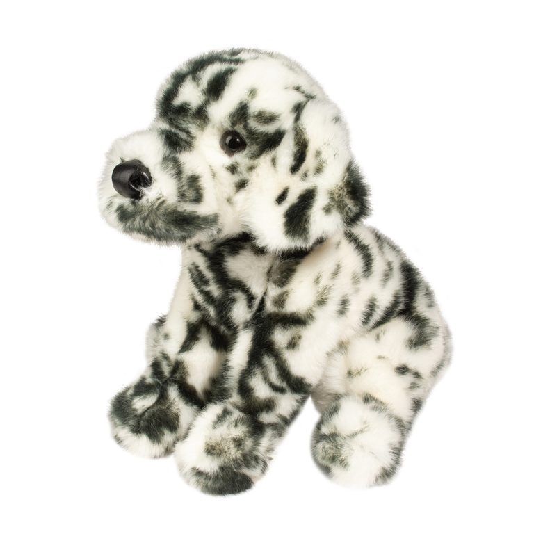 Dalmatien Mackay