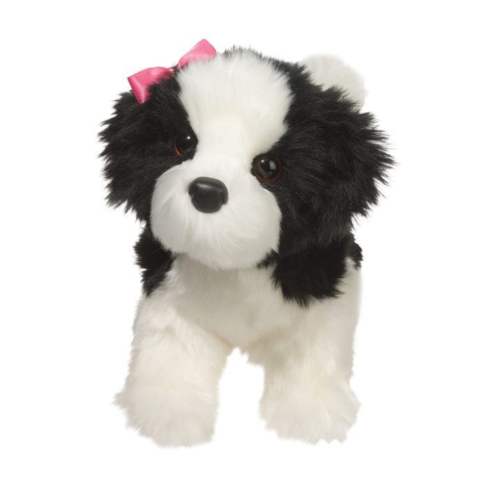 Poofy Shih-Tzu noir et blanc