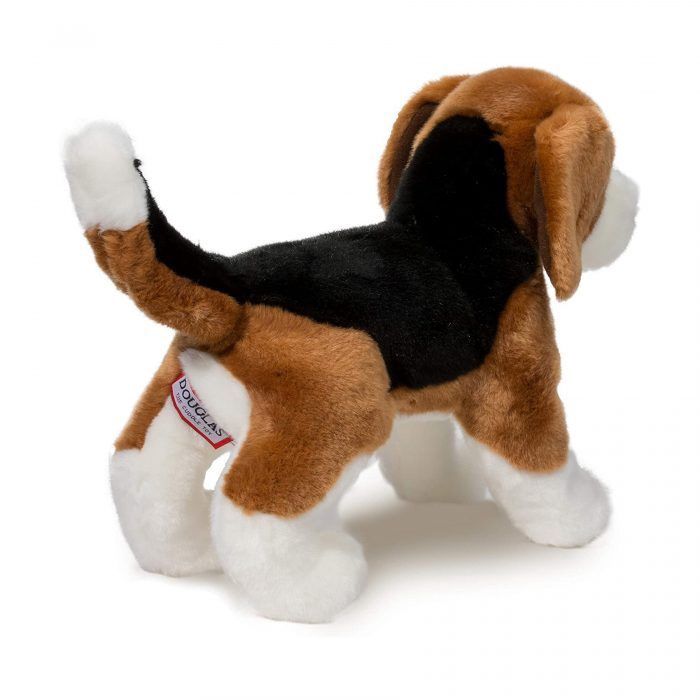 Bernie Beagle