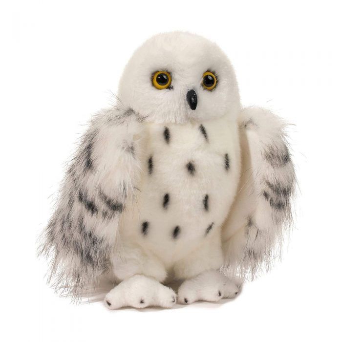Harfang des neiges Wizard