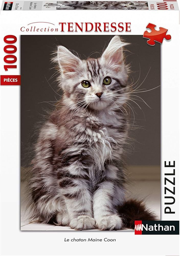 C.T. - Le chaton Maine Coon (1000 mcx)
