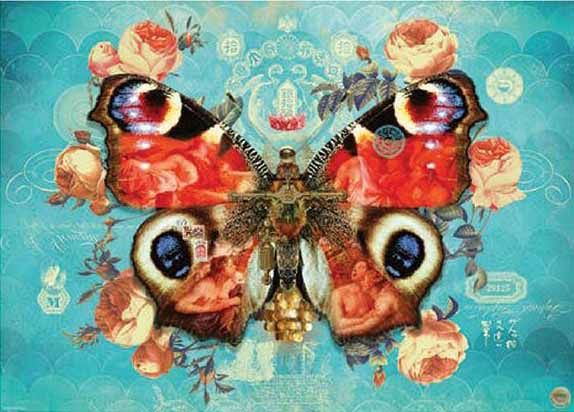 C.T. - Wings No. 3, Metamorphosis (1000 mcx)
