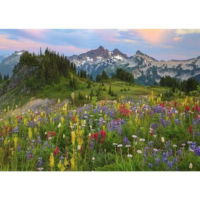 C.T. - Tatoosh Mountains (2000 mcx)