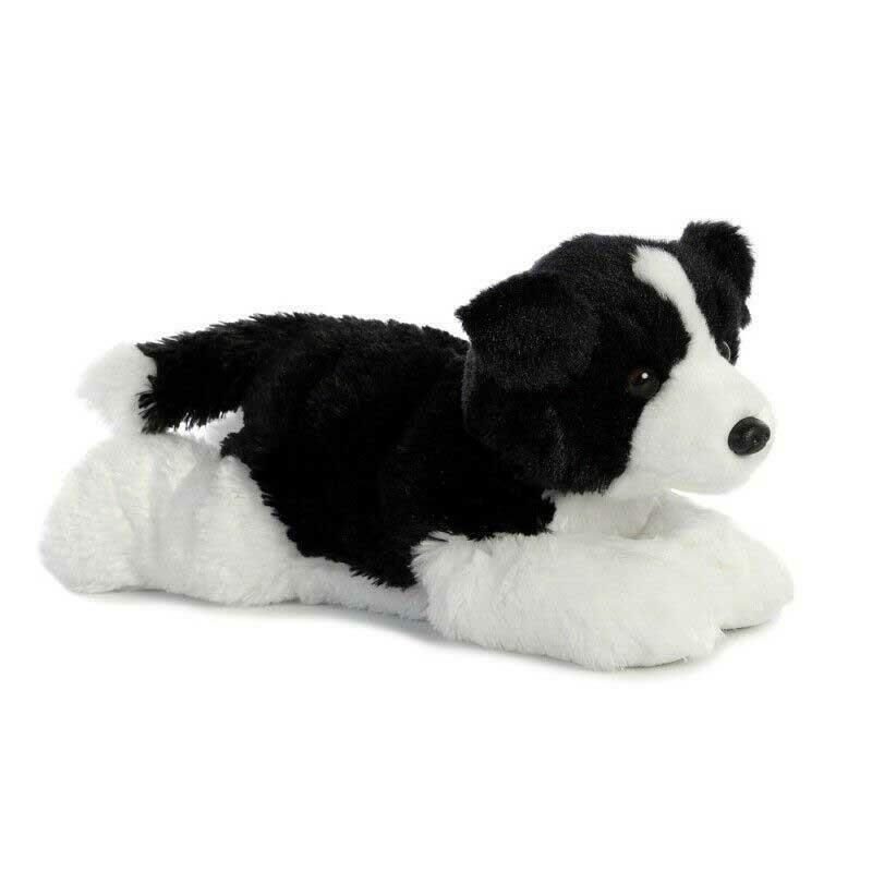 Meadow Border Collie