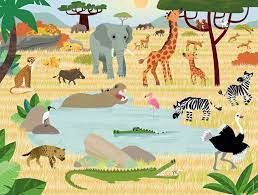 C.T. - Nathan / Les animaux de la savane (30 mcx)