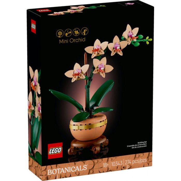 10343 / L&#39;orchidée miniature