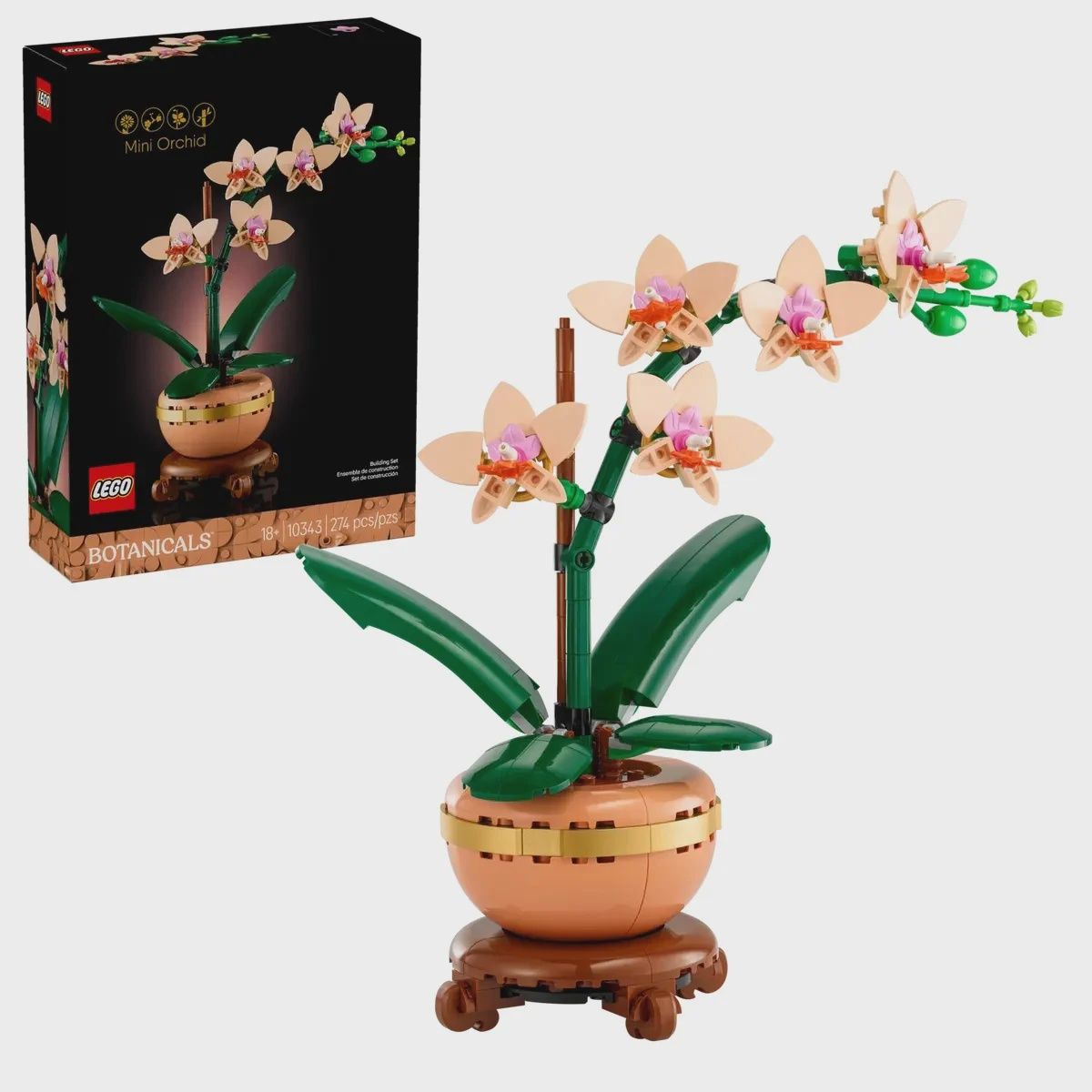 10343 / L&#39;orchidée miniature