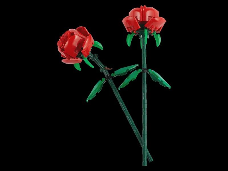 40460 / Les roses