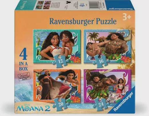 C.T. - Disney Moana (12, 16, 20, 24 mcx)