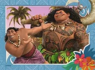C.T. - Disney Moana (12, 16, 20, 24 mcx)