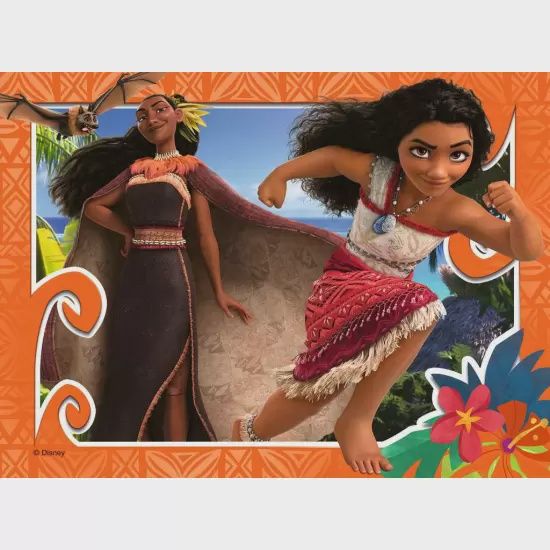 C.T. - Disney Moana (12, 16, 20, 24 mcx)